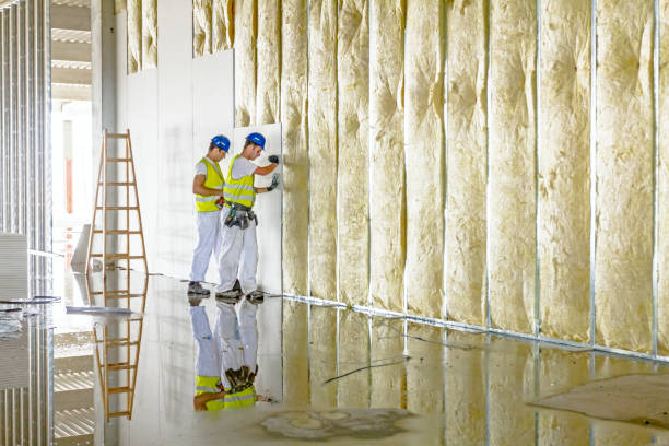 Best DIY Insulation Kits and Guidance in Bridgeton, MO